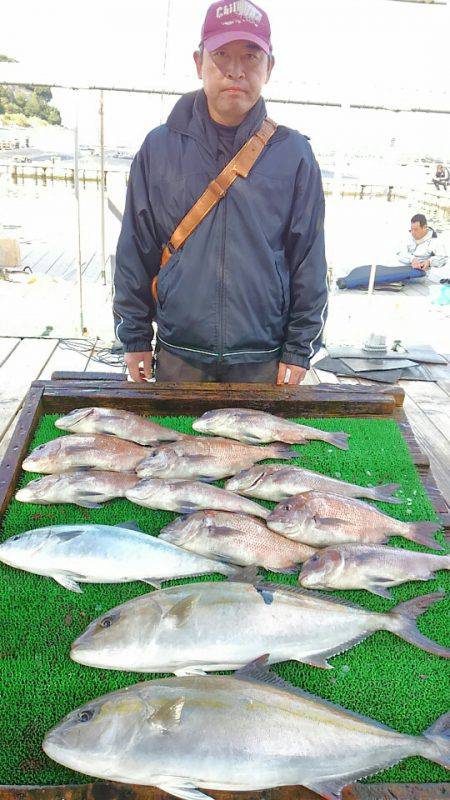 海の釣堀 海恵 釣果
