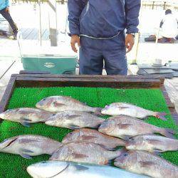 海の釣堀 海恵 釣果