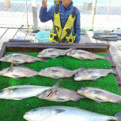 海の釣堀 海恵 釣果