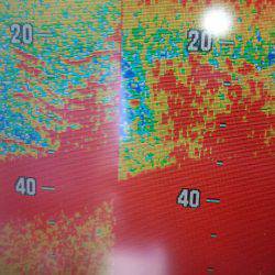 サンマリン 釣果