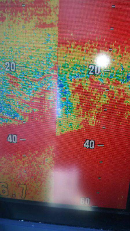 サンマリン 釣果