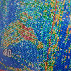 サンマリン 釣果