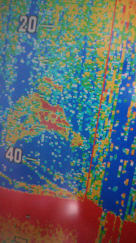 サンマリン 釣果