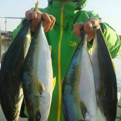 サンマリン 釣果