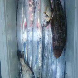 サンマリン 釣果