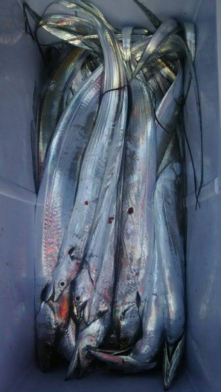 サンマリン 釣果