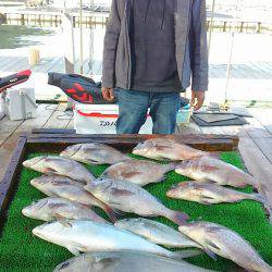 海の釣堀 海恵 釣果