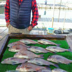 海の釣堀 海恵 釣果
