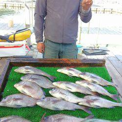 海の釣堀 海恵 釣果