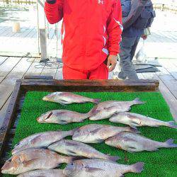 海の釣堀 海恵 釣果