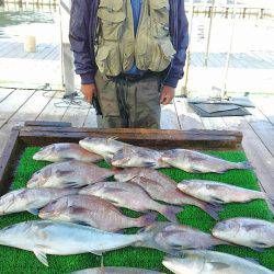 海の釣堀 海恵 釣果