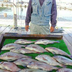 海の釣堀 海恵 釣果