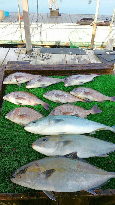 海の釣堀 海恵 釣果