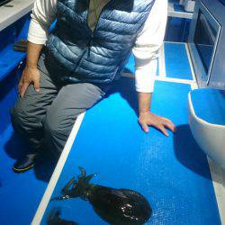 第三共栄丸 釣果