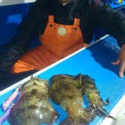 第三共栄丸 釣果