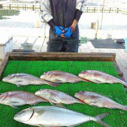 海の釣堀 海恵 釣果