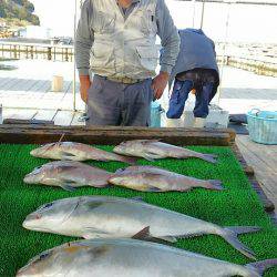 海の釣堀 海恵 釣果