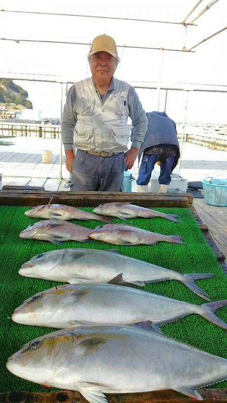 海の釣堀 海恵 釣果