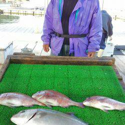 海の釣堀 海恵 釣果