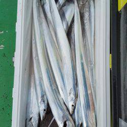 金沢八景鴨下丸 釣果