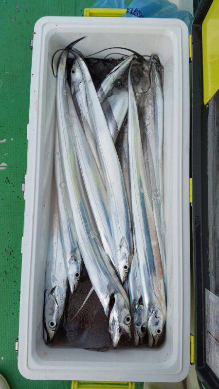 金沢八景鴨下丸 釣果