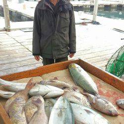 海の釣堀 海恵 釣果
