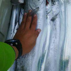 サンマリン 釣果