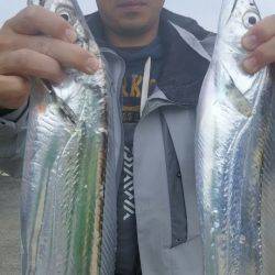 サンマリン 釣果