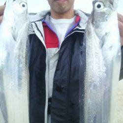 サンマリン 釣果