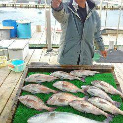 海の釣堀 海恵 釣果