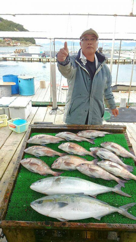 海の釣堀 海恵 釣果