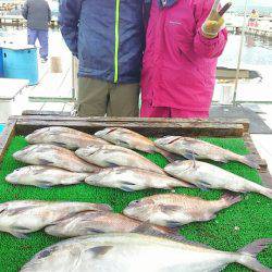 海の釣堀 海恵 釣果