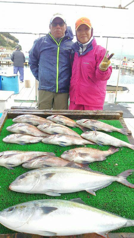 海の釣堀 海恵 釣果