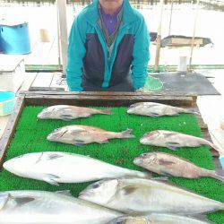 海の釣堀 海恵 釣果
