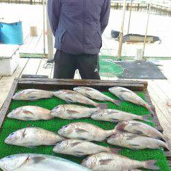 海の釣堀 海恵 釣果
