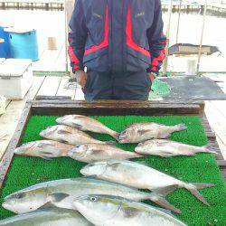 海の釣堀 海恵 釣果