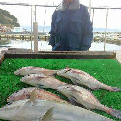 海の釣堀 海恵 釣果