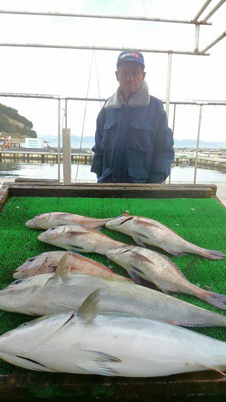 海の釣堀 海恵 釣果