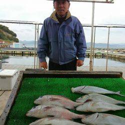 海の釣堀 海恵 釣果