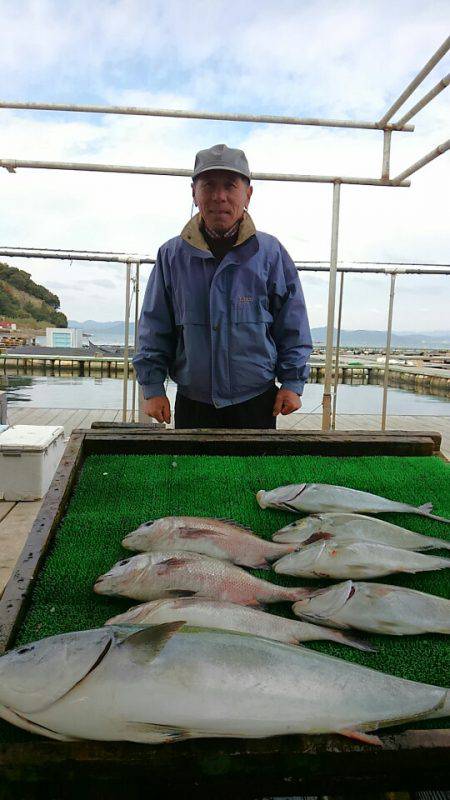 海の釣堀 海恵 釣果