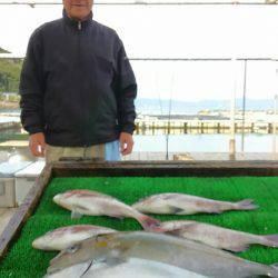 海の釣堀 海恵 釣果