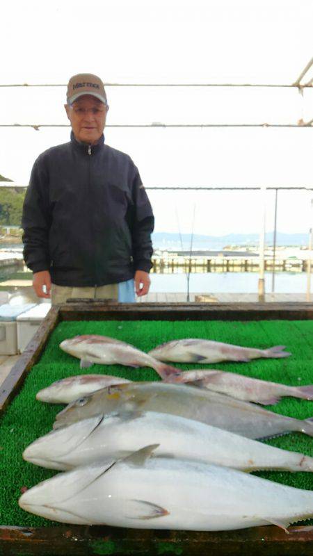 海の釣堀 海恵 釣果