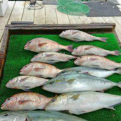海の釣堀 海恵 釣果