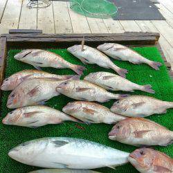 海の釣堀 海恵 釣果