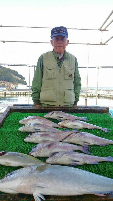 海の釣堀 海恵 釣果