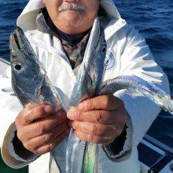 金沢八景鴨下丸 釣果