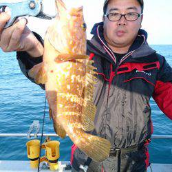 ARCADIAⅡ (アルカディアⅡ) 釣果