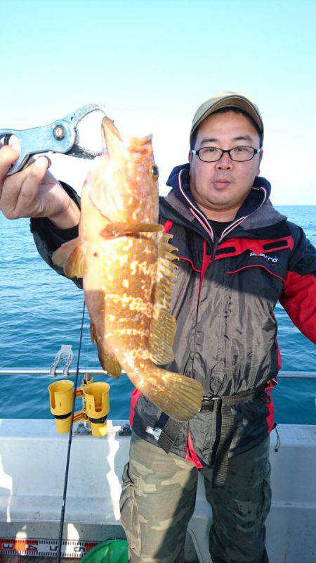 ARCADIAⅡ (アルカディアⅡ) 釣果