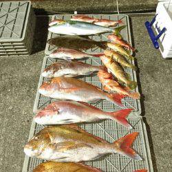 ARCADIAⅡ (アルカディアⅡ) 釣果