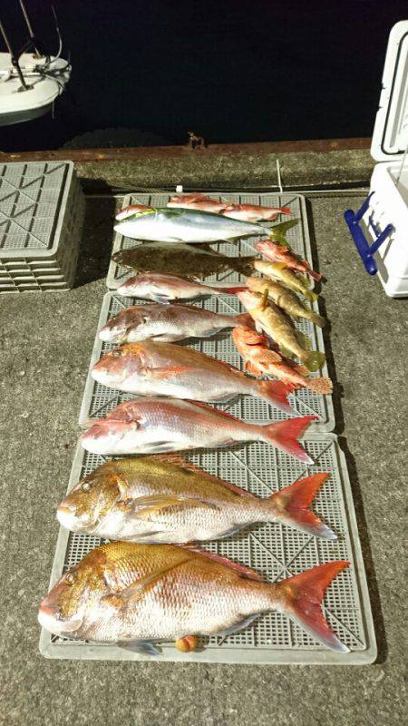 ARCADIAⅡ (アルカディアⅡ) 釣果